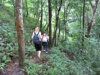 3-days/2-nights Trekking Tour | Chiang Mai Trekking | Le meilleur trekking à Chiang Mai avec Piroon Nantaya