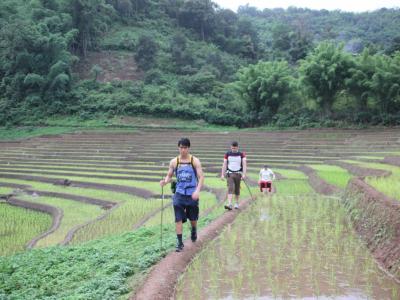 3-days/2-nights Trekking Tour | Chiang Mai Trekking | Le meilleur trekking à Chiang Mai avec Piroon Nantaya