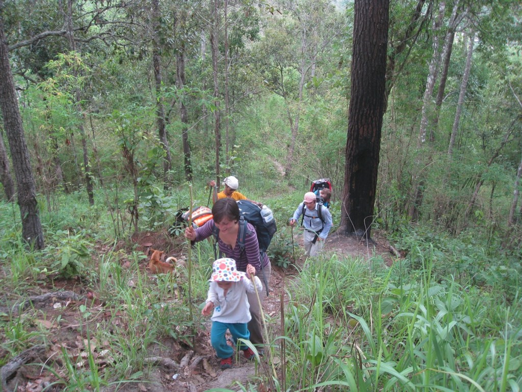 2-days/1-night Trekking Tour | Chiang Mai Trekking | Le meilleur trekking &agrave; Chiang Mai avec Piroon Nantaya