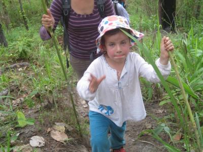 2-days/1-night Trekking Tour | Chiang Mai Trekking | Le meilleur trekking à Chiang Mai avec Piroon Nantaya