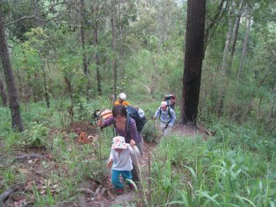 2-days/1-night Trekking Tour | Chiang Mai Trekking | Le meilleur trekking à Chiang Mai avec Piroon Nantaya