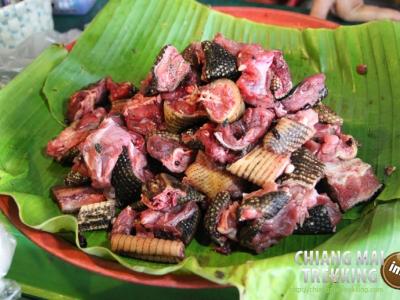 Photos de nos clients | Chiang Mai Trekking | Le meilleur trekking à Chiang Mai avec Piroon Nantaya