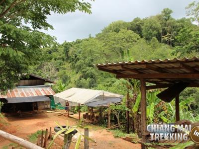 Photos de nos clients | Chiang Mai Trekking | Le meilleur trekking à Chiang Mai avec Piroon Nantaya