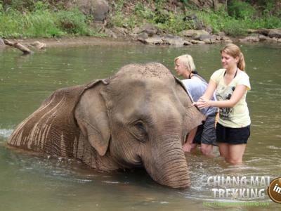 Photos de nos clients | Chiang Mai Trekking | Le meilleur trekking à Chiang Mai avec Piroon Nantaya