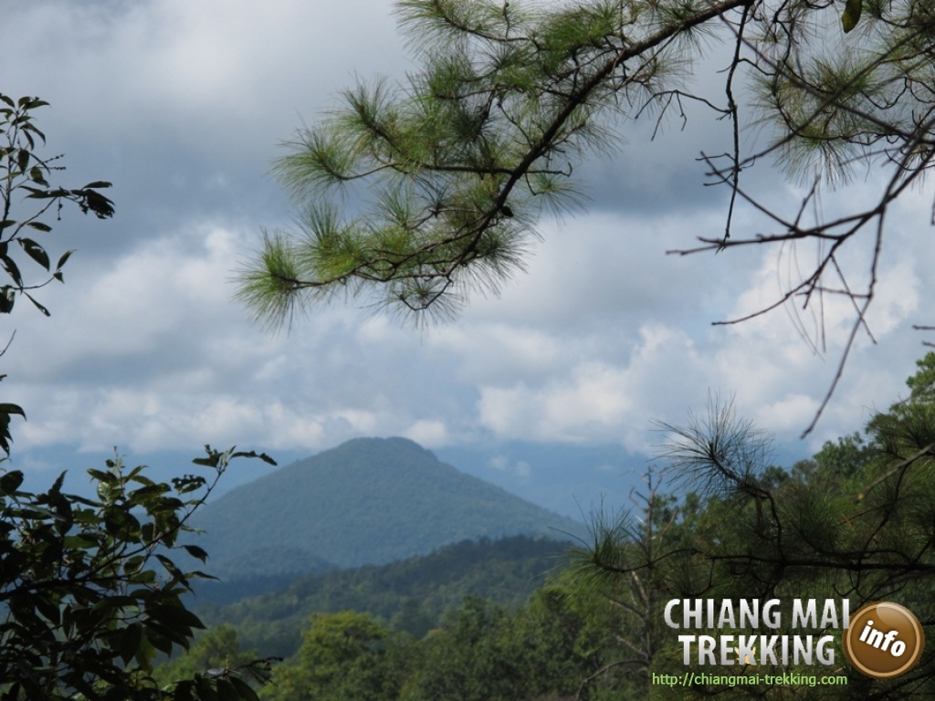 Day Trip Chiang Dao Cave & Doi Luang Chiang Dao Mountain | Chiang Mai Trekking | Le meilleur trekking à Chiang Mai avec Piroon Nantaya