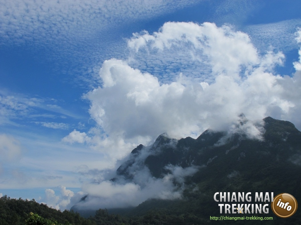 Day Trip Chiang Dao Cave & Doi Luang Chiang Dao Mountain | Chiang Mai Trekking | Le meilleur trekking à Chiang Mai avec Piroon Nantaya