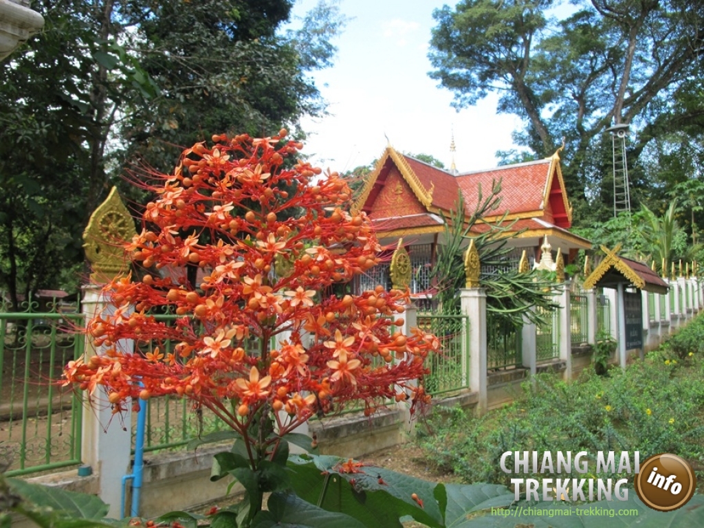 Day Trip Chiang Dao Cave & Doi Luang Chiang Dao Mountain | Chiang Mai Trekking | Le meilleur trekking à Chiang Mai avec Piroon Nantaya