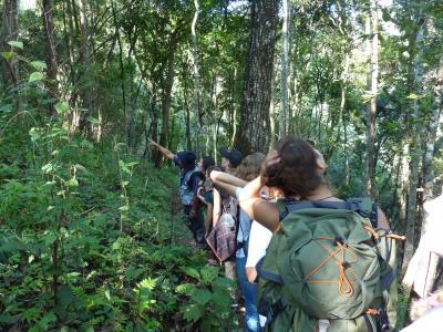 Authentic trekking  With Volonteers  Chirstian German School Chiangmai. | Chiang Mai Trekking | Le meilleur trekking à Chiang Mai avec Piroon Nantaya