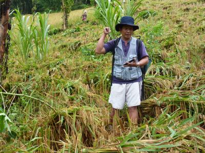 Authentic trekking  With Volonteers  Chirstian German School Chiangmai. | Chiang Mai Trekking | Le meilleur trekking à Chiang Mai avec Piroon Nantaya