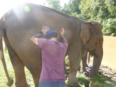 Authentic trekking  With Volonteers  Chirstian German School Chiangmai. | Chiang Mai Trekking | Le meilleur trekking à Chiang Mai avec Piroon Nantaya