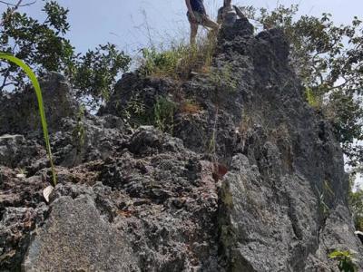 One Day trekking    | Chiang Mai Trekking | Le meilleur trekking à Chiang Mai avec Piroon Nantaya