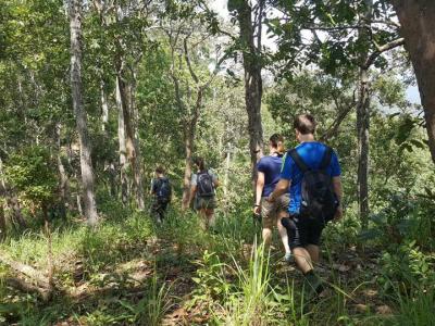 One Day trekking    | Chiang Mai Trekking | Le meilleur trekking à Chiang Mai avec Piroon Nantaya