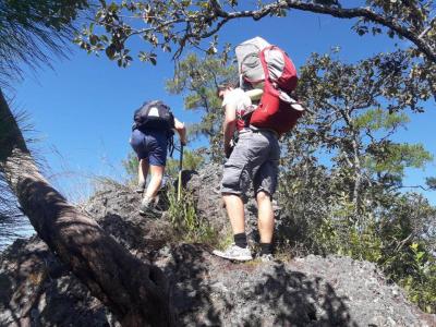 One Day trekking    | Chiang Mai Trekking | Le meilleur trekking à Chiang Mai avec Piroon Nantaya