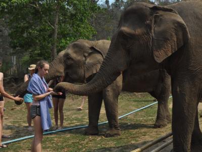 Photos de nos clients | Chiang Mai Trekking | Le meilleur trekking à Chiang Mai avec Piroon Nantaya