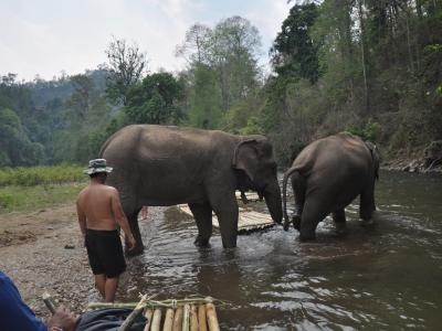 Valerie & Bertrand And Family   | Chiang Mai Trekking | Le meilleur trekking à Chiang Mai avec Piroon Nantaya