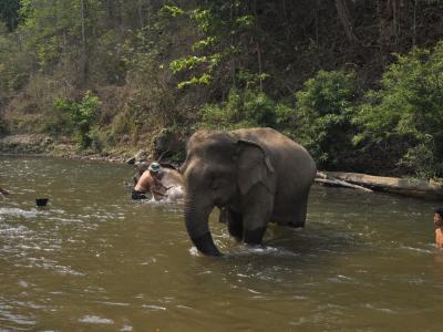 Photos de nos clients | Chiang Mai Trekking | Le meilleur trekking à Chiang Mai avec Piroon Nantaya