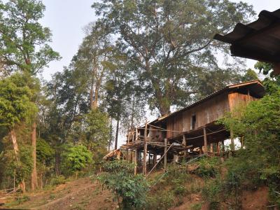 Photos de nos clients | Chiang Mai Trekking | Le meilleur trekking à Chiang Mai avec Piroon Nantaya