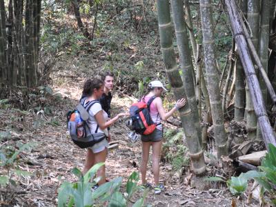 Valerie & Bertrand And Family   | Chiang Mai Trekking | Le meilleur trekking à Chiang Mai avec Piroon Nantaya