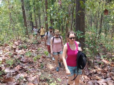 Jose&Friend | Chiang Mai Trekking | Le meilleur trekking à Chiang Mai avec Piroon Nantaya