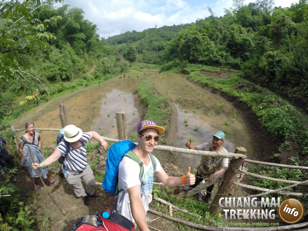 3-days/2-nights Trekking Tour | Chiang Mai Trekking | Le meilleur trekking à Chiang Mai avec Piroon Nantaya