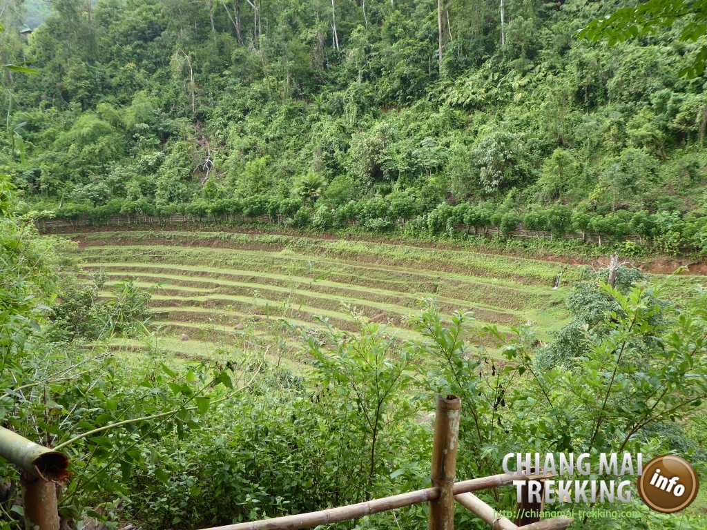 3-days/2-nights Trekking Tour | Chiang Mai Trekking | Le meilleur trekking &agrave; Chiang Mai avec Piroon Nantaya