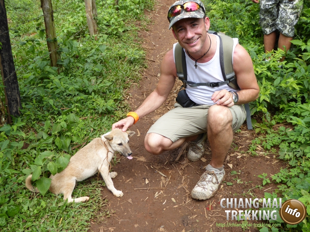3-days/2-nights Trekking Tour | Chiang Mai Trekking | Le meilleur trekking &agrave; Chiang Mai avec Piroon Nantaya