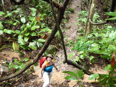 Photos de nos clients | Chiang Mai Trekking | Le meilleur trekking à Chiang Mai avec Piroon Nantaya
