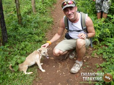 3-days/2-nights Trekking Tour | Chiang Mai Trekking | Le meilleur trekking à Chiang Mai avec Piroon Nantaya