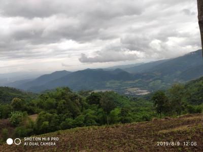 One day trekking only walk 6-7 hours | Chiang Mai Trekking | Le meilleur trekking à Chiang Mai avec Piroon Nantaya