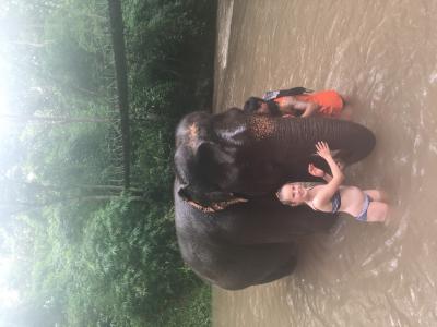 One day soft trekking | Chiang Mai Trekking | Le meilleur trekking à Chiang Mai avec Piroon Nantaya