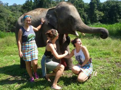 One day soft trekking  | Chiang Mai Trekking | Le meilleur trekking à Chiang Mai avec Piroon Nantaya