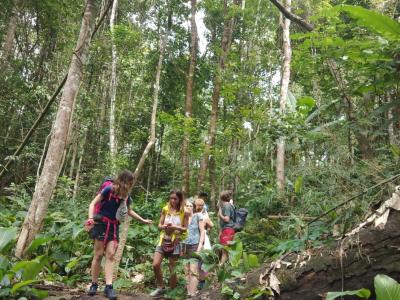 3 days/2 nights Trekking tour join group | Chiang Mai Trekking | Le meilleur trekking à Chiang Mai avec Piroon Nantaya